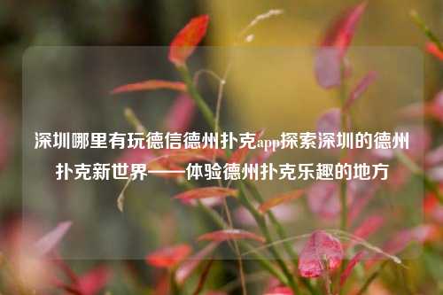 深圳哪里有玩德信德州扑克app探索深圳的德州扑克新世界——体验德州扑克乐趣的地方