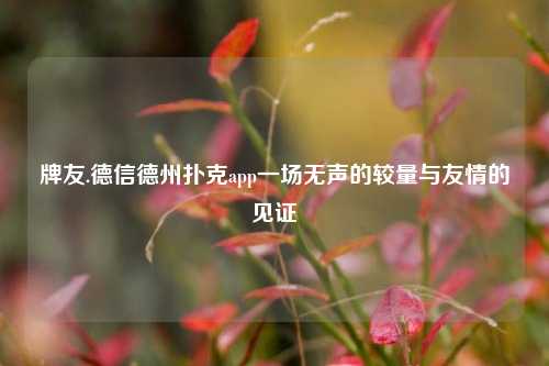 牌友.德信德州扑克app一场无声的较量与友情的见证