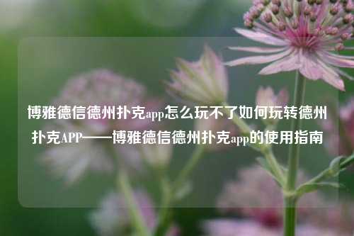 博雅德信德州扑克app怎么玩不了如何玩转德州扑克APP——博雅德信德州扑克app的使用指南