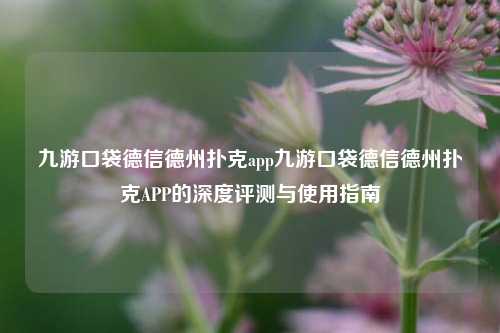 九游口袋德信德州扑克app九游口袋德信德州扑克APP的深度评测与使用指南
