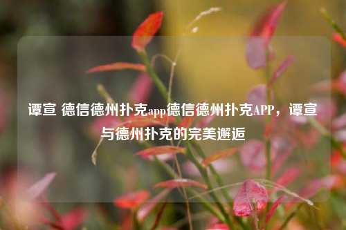 谭宣 德信德州扑克app德信德州扑克APP，谭宣与德州扑克的完美邂逅