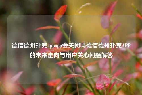 德信德州扑克appapp会关闭吗德信德州扑克APP的未来走向与用户关心问题解答