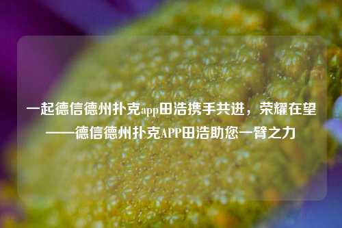 一起德信德州扑克app田浩携手共进，荣耀在望——德信德州扑克APP田浩助您一臂之力