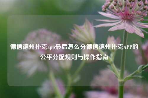 德信德州扑克app最后怎么分德信德州扑克APP的公平分配规则与操作指南