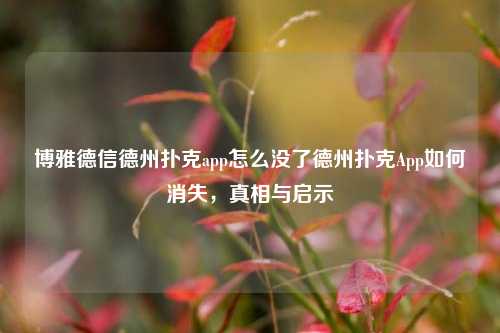博雅德信德州扑克app怎么没了德州扑克App如何消失，真相与启示
