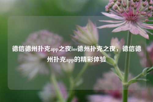 德信德州扑克app之夜los德州扑克之夜，德信德州扑克app的精彩体验