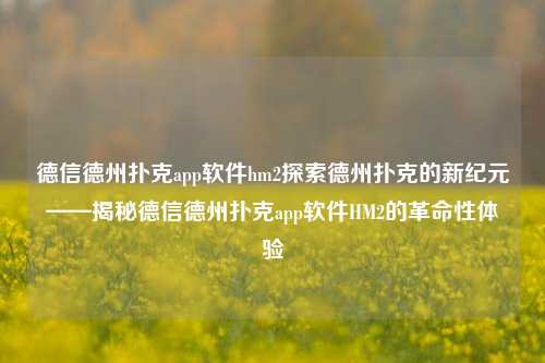 德信德州扑克app软件hm2探索德州扑克的新纪元——揭秘德信德州扑克app软件HM2的革命性体验
