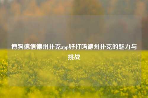 博狗德信德州扑克app好打吗德州扑克的魅力与挑战