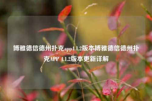 博雅德信德州扑克app4.1.2版本博雅德信德州扑克APP 4.1.2版本更新详解